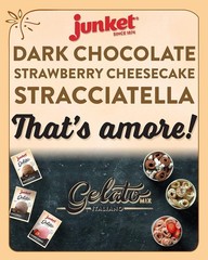 Strawberry Cheesecake Gelato Mix 4 Ounce Box