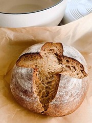 DEHYDRATED SOURDOUGH STARTER SOUR TOP SELLER SAN FRANCISCO 15 GRAM BAG