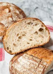 San Francisco Sourdough Starter Dehydrated Whole Wheat Strong Sour – 15 Grams