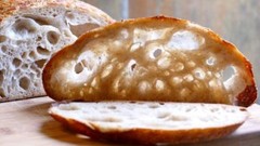 @ live SOURDOUGH BREAD STARTER San Francisco BEAST+ RECIPES dry mix yeast flourd