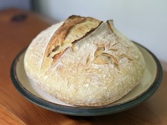 Dehydrated sourdough starter (15g)