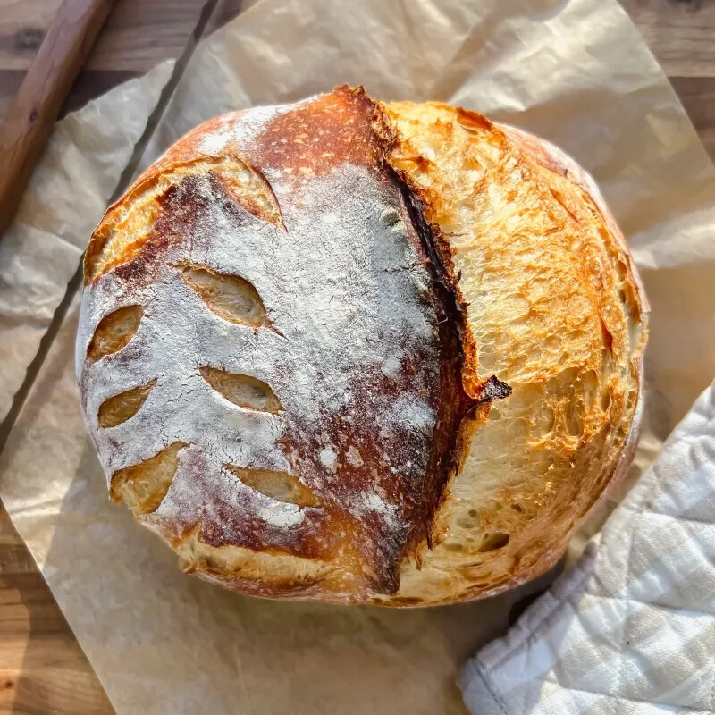 Wharf Sourdough Starter San Francisco Fisherman’s Dehydrated Organic 15 Gram Bag