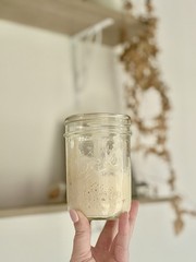 Dehydrated sourdough starter (15g)