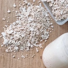 Sourdough Dehydrated Starter Sour – Gulf Coast – 15 Gram Bag