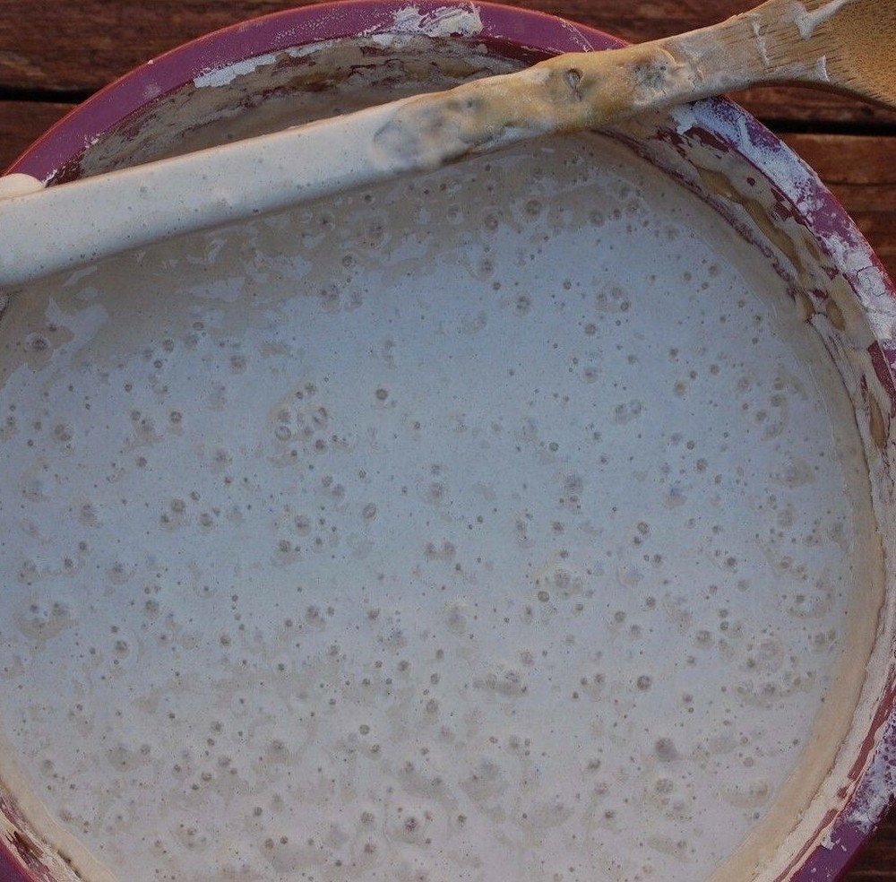 THE BEAST sourdough starter 10 sourdough yeasts in 1 starter @fresh d