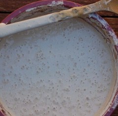THE BEAST sourdough starter 10 sourdough yeasts in 1 starter @fresh d