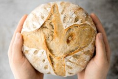 Wharf Sourdough Starter San Francisco Fisherman’s Dehydrated Organic 15 Gram Bag