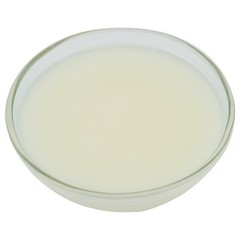 Brill Glaze N Shine, 23 Pound