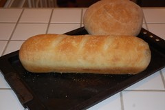 EXTRA SOUR SOURDOUGH STARTER 140+yrs california gold larry