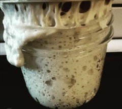 233yr Old Verified Heritage San Francisco Sourdough Starter TOP SELLER best!!