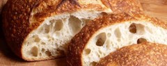 live ZOURDOUGH SOURDOUGH STARTER San Francisco BEAST+ RECIPES-10starters in 1 d