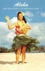 Hawaiian Sun Pancake Mix BANANA MACADAMIA NUT (6oz) 3 PACK From Hilo Best Prices
