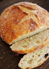 Sourdough Starter Dehydrated ORGANIC SAN FRANCISCO 50+ Yrs Old – 15 GRAM BAG