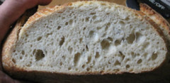 SAN FRANCISCO SOURDOUGH bread YEAST STARTER flour baking “sally” + recipes @
