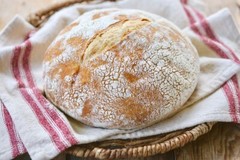 Wharf Sourdough Starter San Francisco Fisherman’s Dehydrated Organic 15 Gram Bag