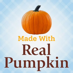 Pillsbury Pumpkin Quick Bread & Muffin Mix 14 oz