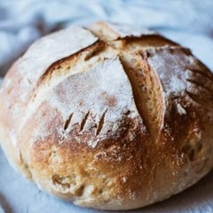 Sourdough Starter Dried Organic – Alaskan – 15 Gram Bag