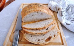 Dehydrated Sourdough Starter 1810 Boudin’s San Francisco 15 Gram Bag