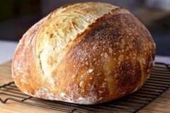 San Francisco Sourdough Starter from 1810 Heritage Boudin’s Bakery – 15 Gram Bag