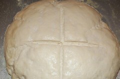 SOURDOUGH STARTER yeast San Francisco BEAST baking supplies bake @ d