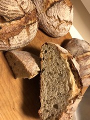 100% Organic Einkorn Wheat Sourdough Starter Yeast Live- Strong Live