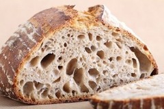 Dehydrated Sourdough Starter Sour San Francisco – 15 Gram Bag