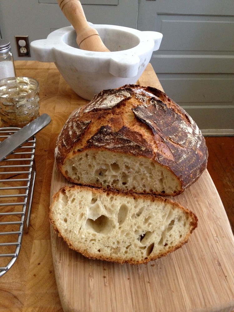 San Francisco Sourdough Starter Dehydrated Whole Wheat Strong Sour – 15 Grams
