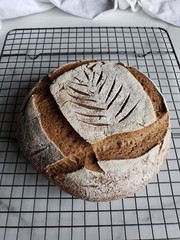San Francisco Sourdough Starter from 1810 Heritage Boudin’s Bakery – 15 Gram Bag