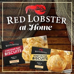 Red Lobster Rosemary Garlic Parmesan Biscuit Mix 11.36 oz Box – 8 PACK