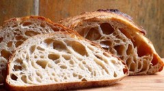 sourdough starter, you cant handle this one.THE BEAST.10 starters in 1 mix@d