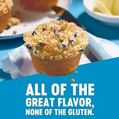 Gluten Free Blueberry Muffin Mix with Canned Blueberries 15.7 oz Box