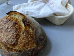 Wharf Sourdough Starter San Francisco Fisherman’s Dehydrated Organic 15 Gram Bag
