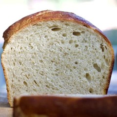 San Francisco Sourdough Starter Dehydrated Whole Wheat Strong Sour – 15 Grams