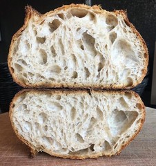 San Francisco Sourdough Starter Dehydrated Whole Wheat Strong Sour – 15 Grams