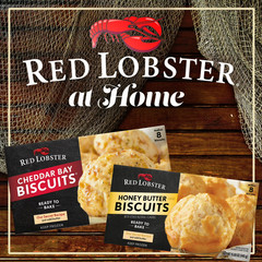 (4 pack) Red Lobster Rosemary Garlic Parmesan Biscuit Mix, Rosemary Garlic Herb
