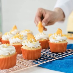 Organic Buttercream Frosting, Perfect for Icing and Decorating, VeganFriendly…