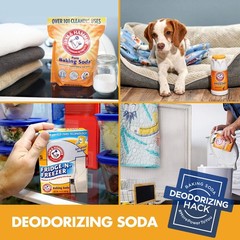 Arm & Hammer Baking Soda Fridge-n-Freezer Odor 14 Ounce (Pack of 12), Orange