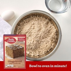Gingerbread Cake Cookie Mix Kosher Baking Mix No Preservatives Vegetarian New