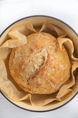 San Francisco Sourdough Starter Dehydrated Whole Wheat Strong Sour – 15 Grams