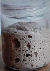 San Francisco live SOURDOUGH STARTER 145 yo family heirloom WHARF