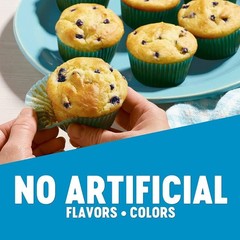Gluten Free Blueberry Muffin Mix with Canned Blueberries 15.7 oz Box