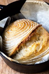 Dehydrated Sourdough Starter ORGANIC – San Francisco – 15 Gram Bag