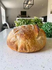SOURDOUGH STARTER DRIED ORGANIC SAN FRANCISCO – 15 Gram Bag