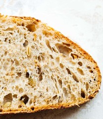 Sourdough Starter Dehydrated ORGANIC SAN FRANCISCO – 15 GRAM BAG