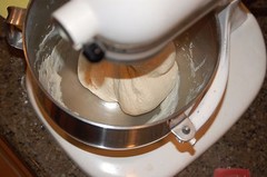 fresh sourdough starter from the wharf in san francisco @fresh