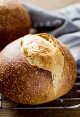 San Francisco Sourdough Starter Dehydrated Whole Wheat Strong Sour – 15 Grams
