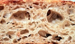 SAN FRANCISCO WHARF SOURDOUGH STARTER yeast bread mix very active many recipes @