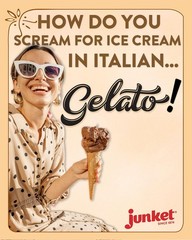 Strawberry Cheesecake Gelato Mix 4 Ounce Box
