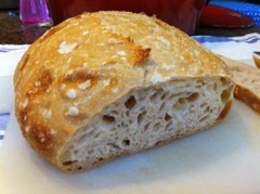 SOURDOUGH STARTER YEAST VERY ACTIVE AND OVER 150 YRS old LARRY