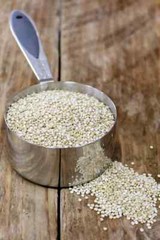 San Francisco Sourdough Starter Dehydrated Whole Wheat Strong Sour – 15 Grams